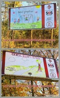 Congratulations Tobacco Free Billboard Design Winners