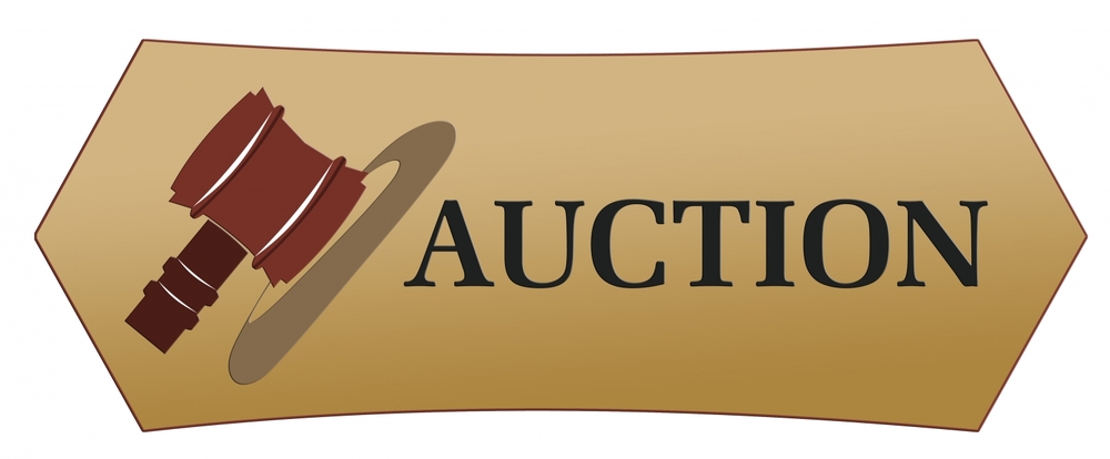 Huge Auction